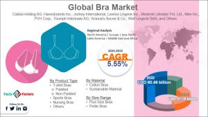 Global Bra Market